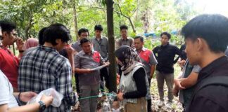 Peringati Hari Bumi 2025, Telkom Indonesia dan Telkom University Gelar Pengukuran Stok Karbon di 25 Lokasi Indonesia