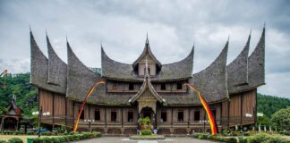 Konektivitas Pemerintah Daerah dan Diapora Minangkabau: Tugas Akademisi!