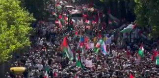 Gema Solidaritas Palestina di Peringatan Nakba ke-77