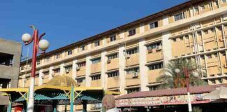 Kabar dari Kairo: Mahasiswa Indonesia Bicara Solidaritas Palestina di Mesir