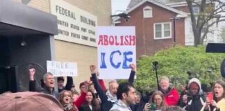 Kisah Aktivis Pro-Palestina yang Pertama Dibebaskan