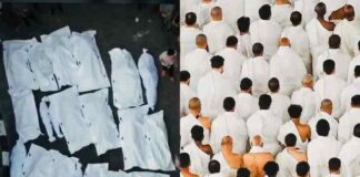 Dari Haji ke Palestina: Membangun Kesadaran Umat Menolak Diam atas Tragedi Kemanusiaan