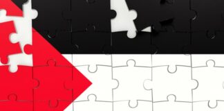 Membaca Puzzle, Free Palestina Hanya Mimpi?