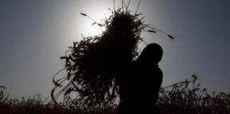 Musim Tanpa Gandum, Malam Tanpa Api