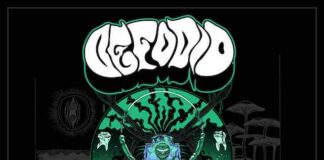 “Permanent Ear Damage”, Album Penuh Kemarahan, Groove, dan Suara yang Tak Terlupakan