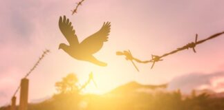 Seruan Perdamaian di Tengah Konflik Gaza