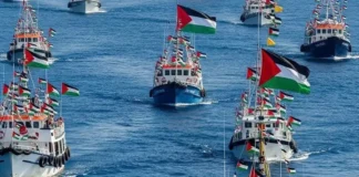 Relawan Indonesia Bersiap Tembus Blokade Gaza Bersama Global Sumud Flotilla