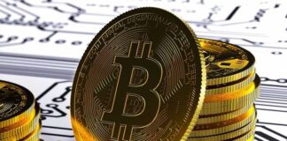 Transaksi Aset Kripto Indonesia Capai Rp446 Triliun, INDODAX Soroti Peluang dan Tantangan Pasar 2025