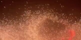 Israel Tuduh Hamas Langgar Kesepakatan dan Kembali Serang Gaza