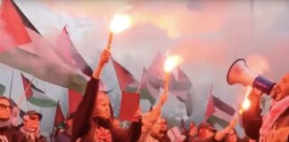 Suporter Norwegia Soraki Lagu Kebangsaan Israel dan Kibarkan Bendera Palestina di Kualifikasi Piala Dunia