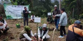 Dirjen Perhutanan Sosial Kemenhut RI Canangkan Penanaman Perdana di LPHD MAHARA Desa Malasari, Bogor