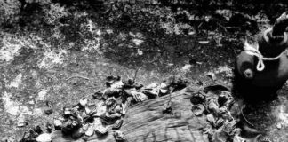 Musisi Asli Gunung Kawi, Matoha Mino, Dobrak Stereotip Mistis dengan Lagu “Gunung Kawi”