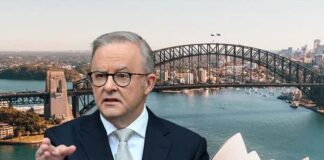 Australia Desak Tuntutan Pidana atas Serangan Udara Israel di Gaza yang Tewaskan Relawan