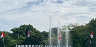 Dari Digitalisasi UMKM hingga Sanksi Etik, Dua Sisi Pengabdian Mahasiswa Unhas